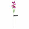 Outdoors ICB | Solar Lily Flower Garden Lights - Purple