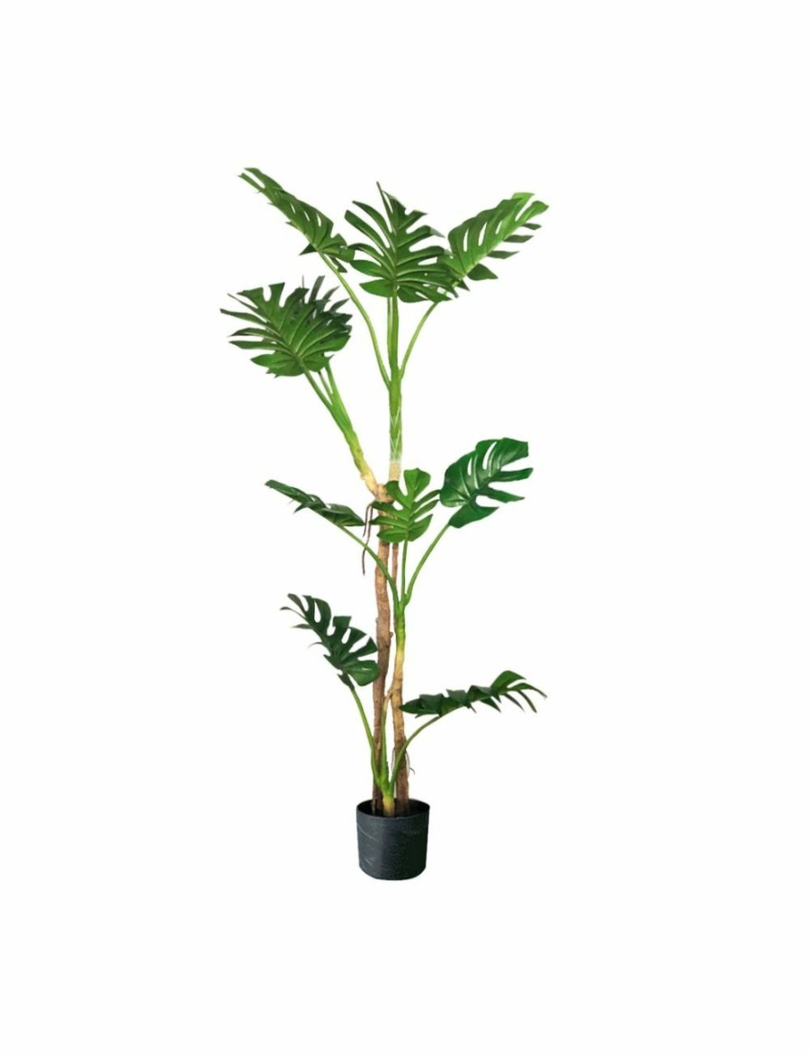 Home And Lifestyle Soga Artifical Plants | Soga 175Cm Green Artificial Indoor Turtle Back Tree Fake Fern Plant Decorative