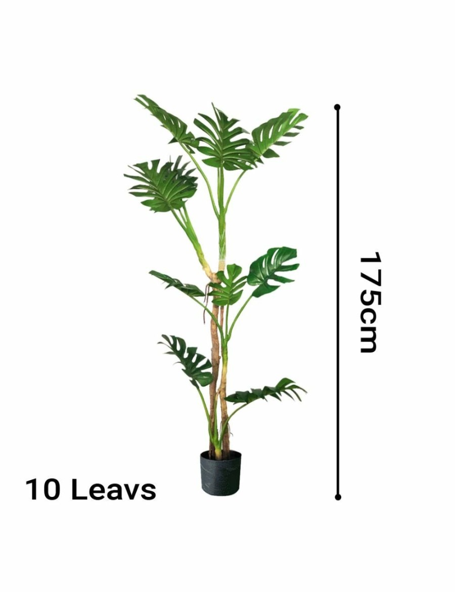 Home And Lifestyle Soga Artifical Plants | Soga 175Cm Green Artificial Indoor Turtle Back Tree Fake Fern Plant Decorative