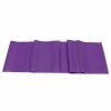 Sport & Fitness SPORX | Sporx Power Resistance Band Violet