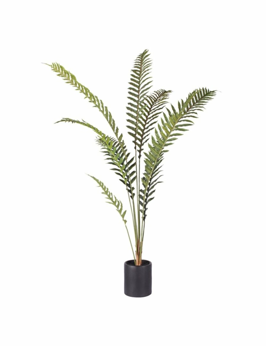 Home And Lifestyle Soga Artifical Plants | Soga 180Cm Artificial Green Rogue Hares Foot Fern Tree Fake Tropical Indoor Plant Home Office Decor