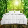 Home And Lifestyle Bdirect Quilts | Royal Comfort 350Gsm Bamboo Quilt