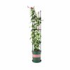 Outdoors Soga Garden Decor | Soga 133Cm 4-Bar Plant Frame Stand Trellis Vegetable Flower Herbs Outdoor Vine Support Garden Rack With Rings