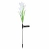 Outdoors ICB | Solar Lily Flower Garden Lights - White