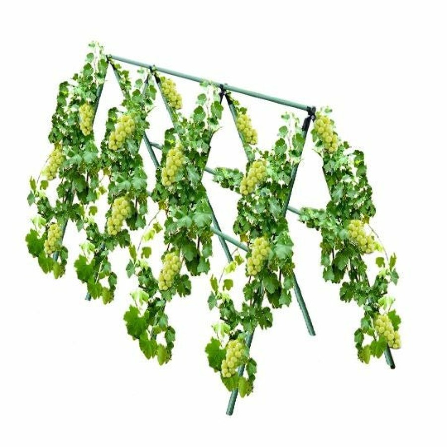 Outdoors Soga Garden Decor | Soga 90Cm Plant Frame Tube Trellis Vegetable Flower Herbs Outdoor Vine Support Adjustable Garden Rack