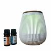 Home And Lifestyle Alcyon Candles & Diffusers | Alcyon Work From Home Diffuser Set